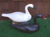 Bob Jobes Quarter size Swans at Riverside Retreat