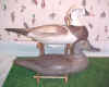 Click here to see the larger image of the Old Squaw Decoys