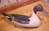 Click here for larger picture of the Antique Style Pintail Drake decoy