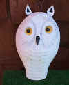 Bob Jobes White Owl at Riverside Retreat